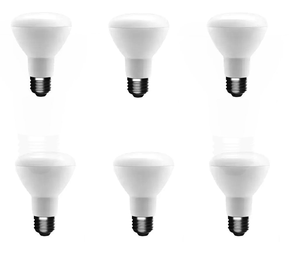 50-Watt Equivalent BR20 Dimmable LED Light Bulb Daylight (6-Pack)