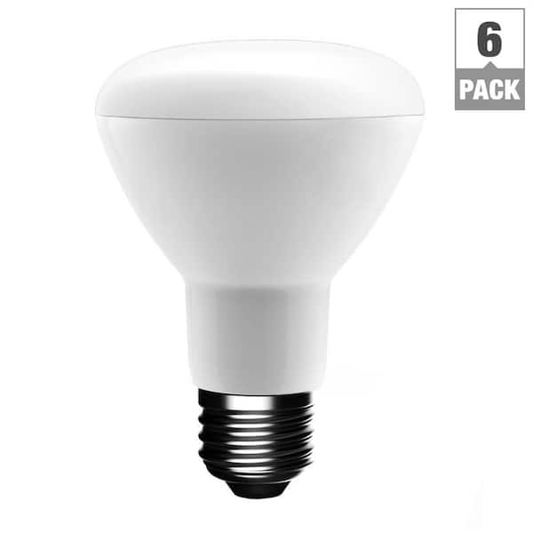 EcoSmart 50-Watt Equivalent R20 Dimmable LED Light Bulb Softwhite (6-Pack)